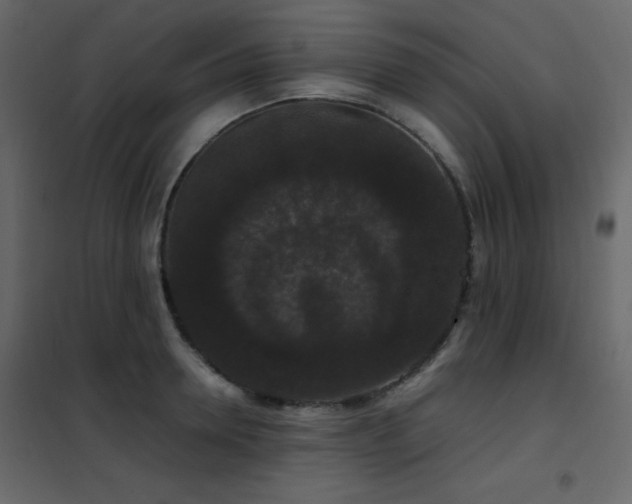 X0000102480946200808081302