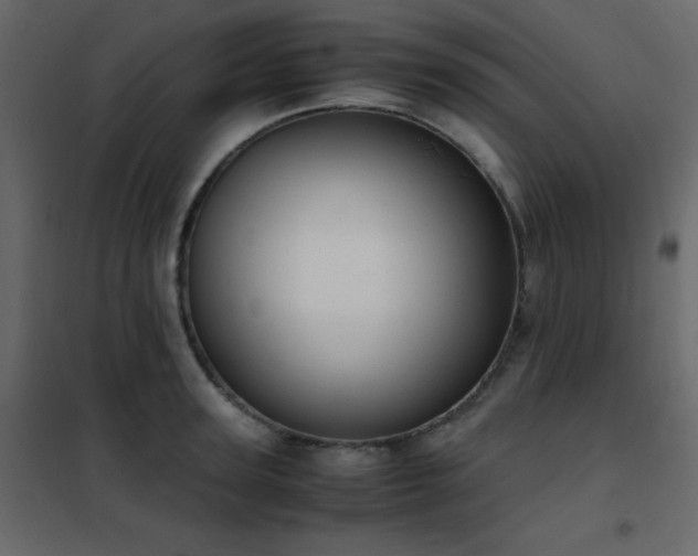 X0000102480947200808081302
