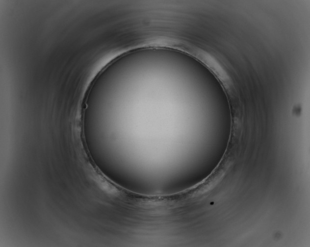 X0000102480948200808081302
