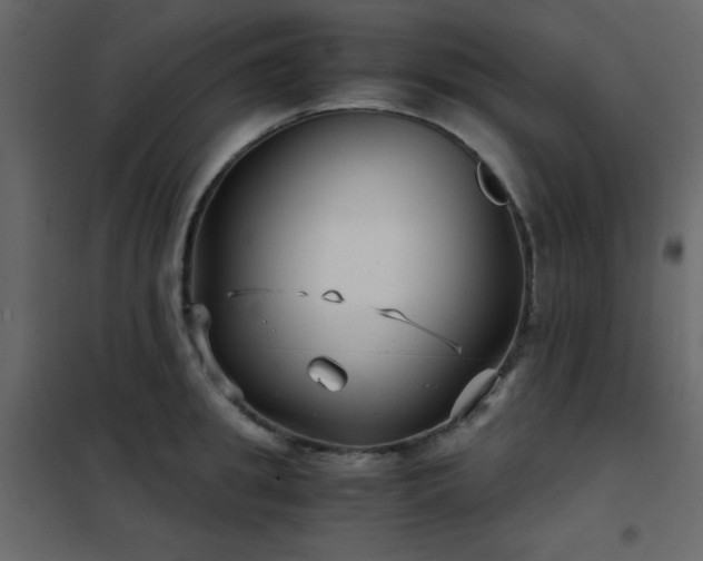 X0000102480949200808081302
