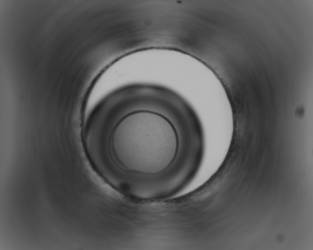 X0000102480950200808081302