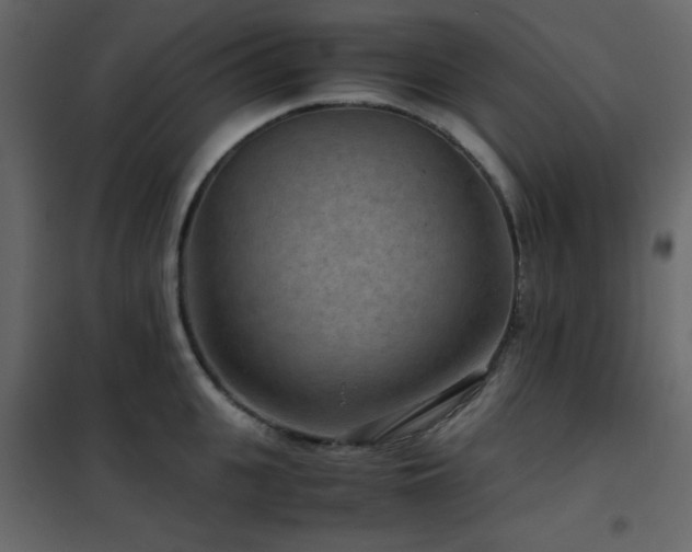 X0000102480951200808081302