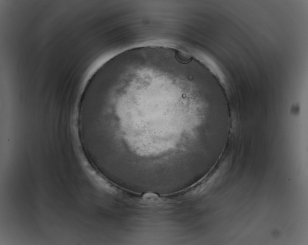 X0000102480952200808081302