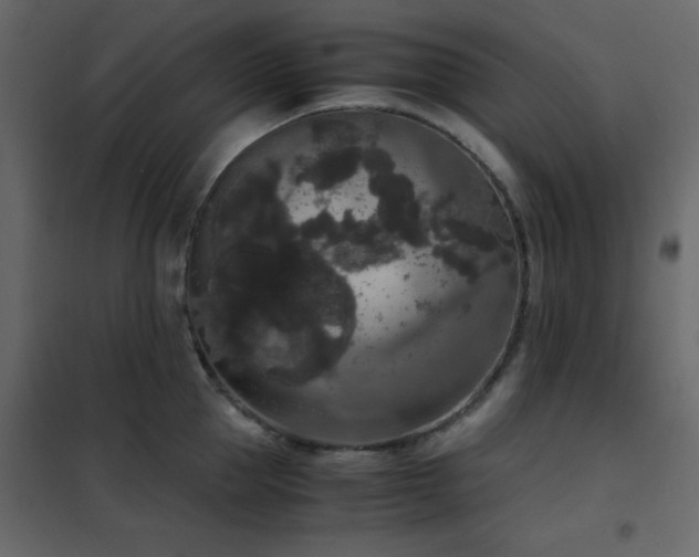X0000102480953200808081302
