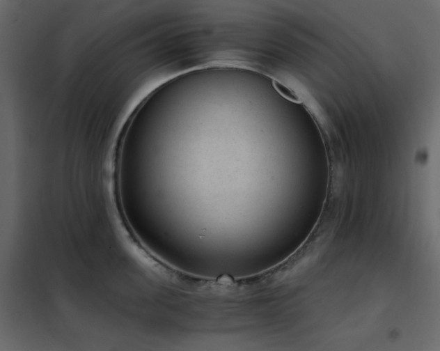 X0000102480955200808081302