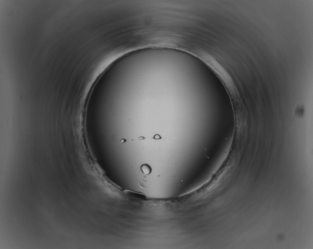 X0000102480956200808081302