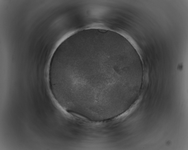 X0000102480957200808081302