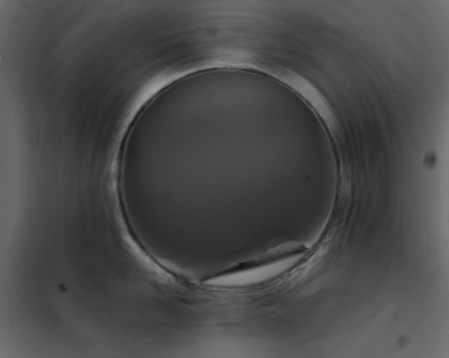 X0000102480958200808081302