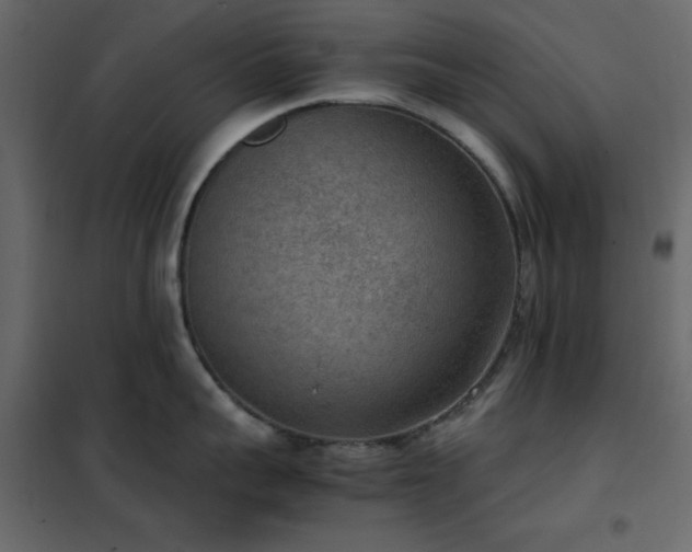 X0000102480959200808081302