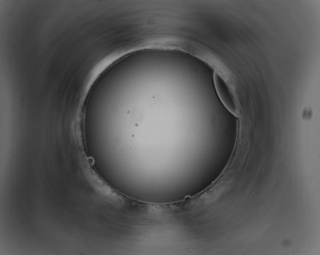 X0000102480960200808081302