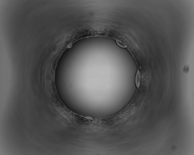 X0000102480961200808081301
