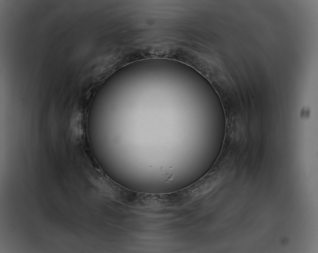 X0000102480962200808081301