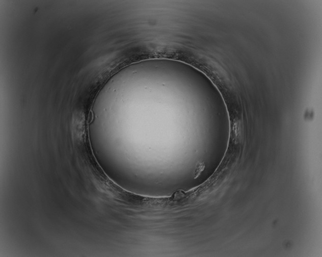 X0000102480963200808081301