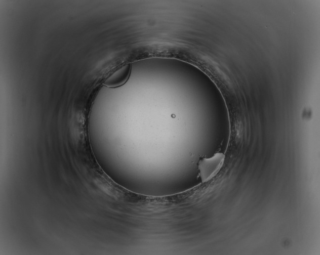 X0000102480964200808081301