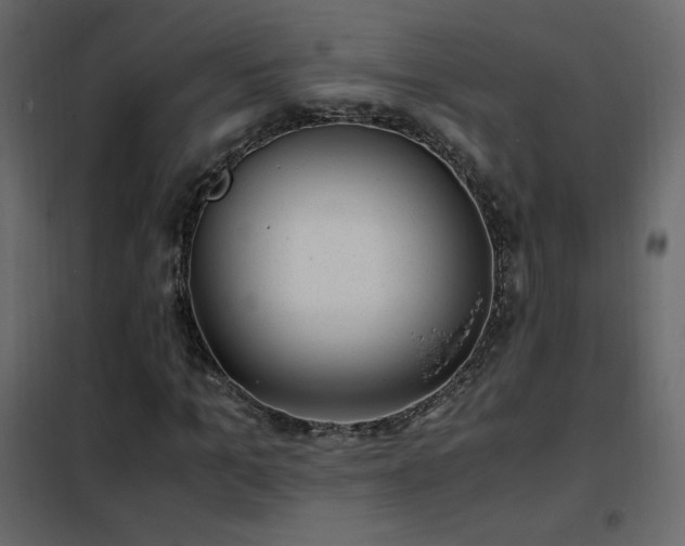 X0000102480965200808081301