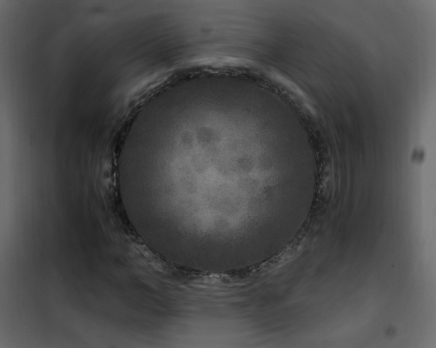 X0000102480966200808081301