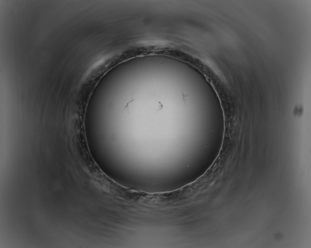 X0000102480967200808081301