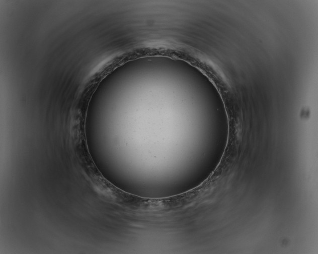 X0000102480968200808081301