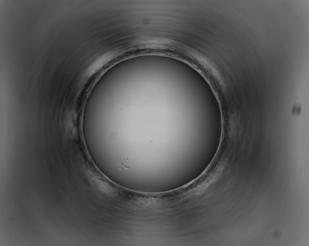 X0000102480970200808081301
