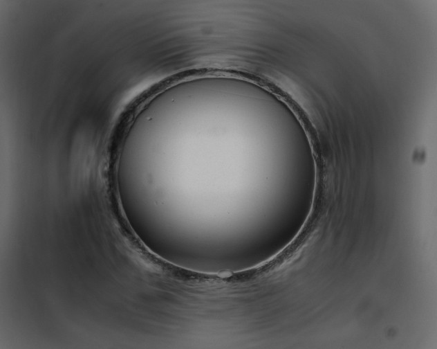 X0000102480971200808081301