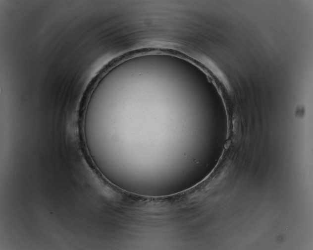 X0000102480972200808081301