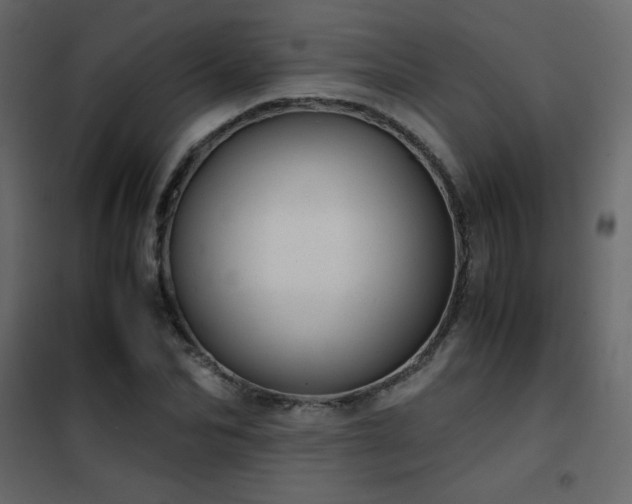 X0000102480974200808081301
