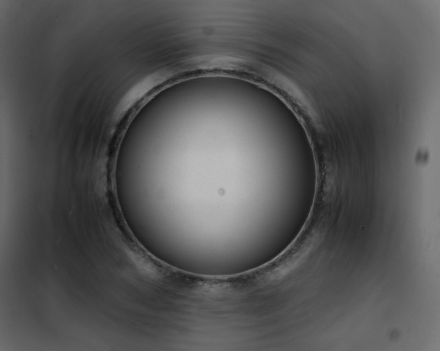 X0000102480978200808081301