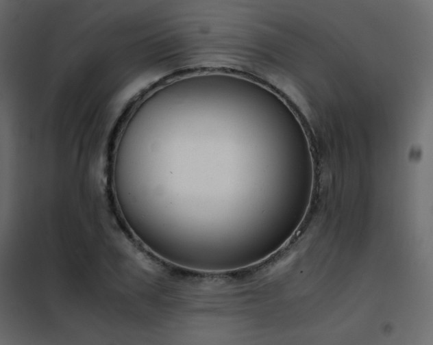 X0000102480979200808081301