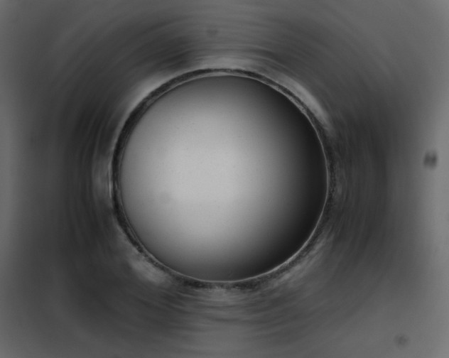 X0000102480980200808081301
