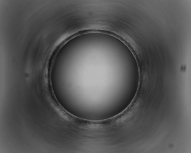 X0000102480982200808081301