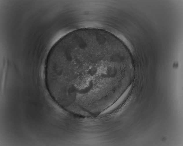 X0000102480983200808081301