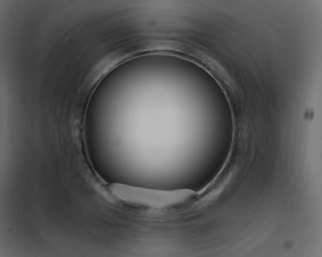 X0000102480985200808081301