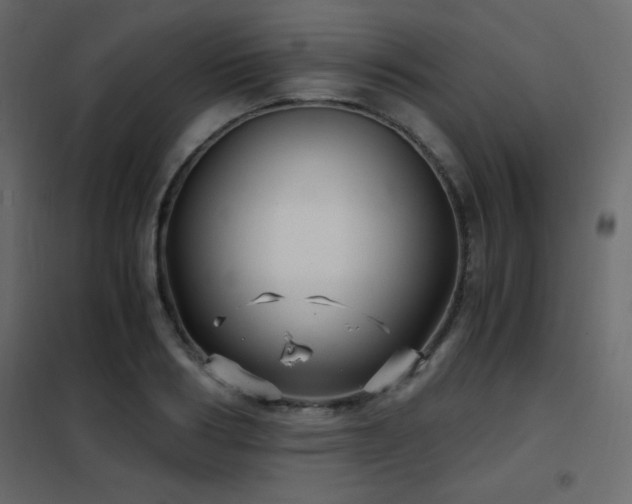 X0000102480986200808081301