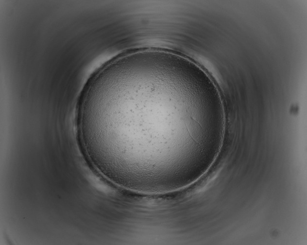 X0000102480987200808081301