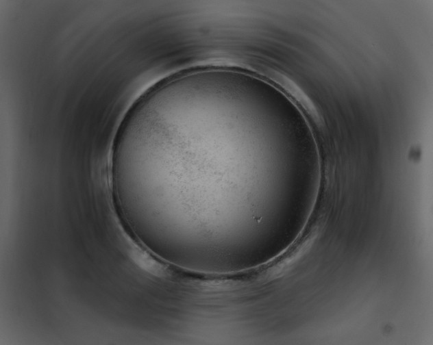 X0000102480988200808081301
