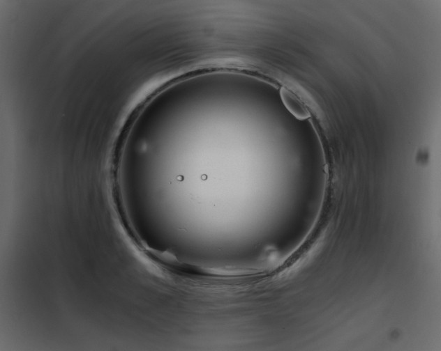 X0000102480989200808081301