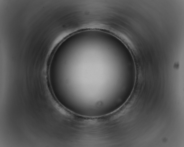 X0000102480990200808081301