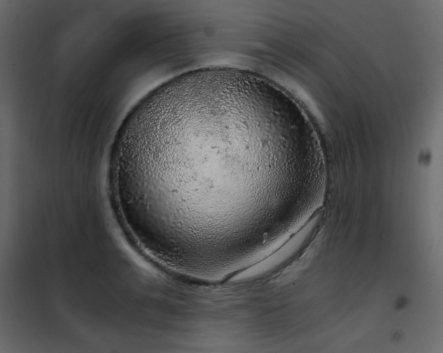 X0000102480991200808081301