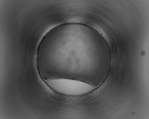 X0000102480992200808081301