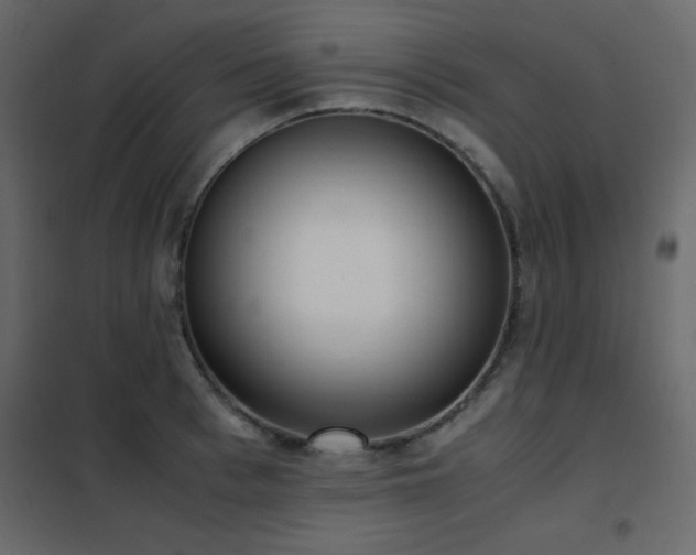 X0000102480993200808081301