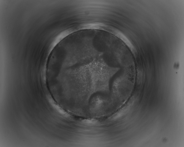 X0000102480994200808081301