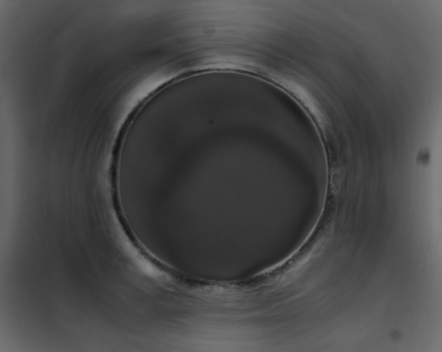 X0000102480995200808081301