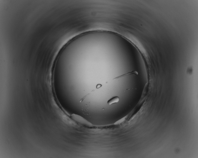 X0000102480996200808081301