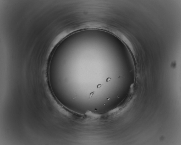 X0000102480997200808081301