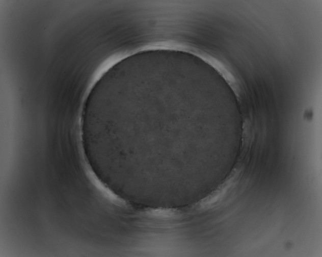X0000102480998200808081301
