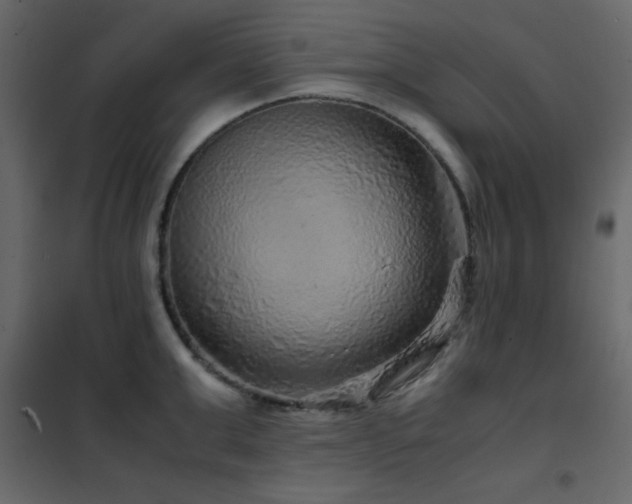 X0000102480999200808081301