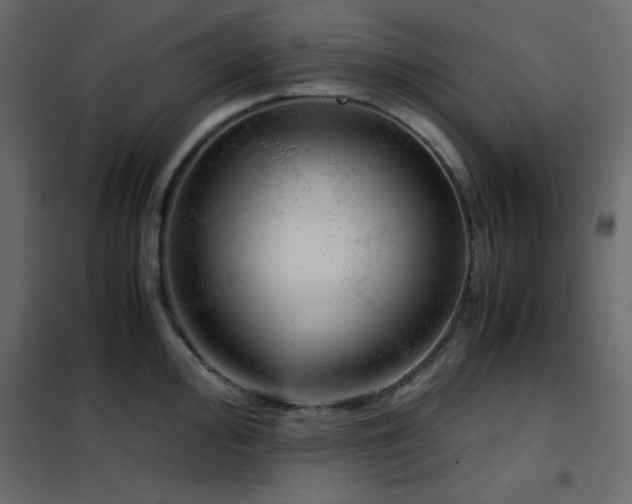 X0000102481000200808081301