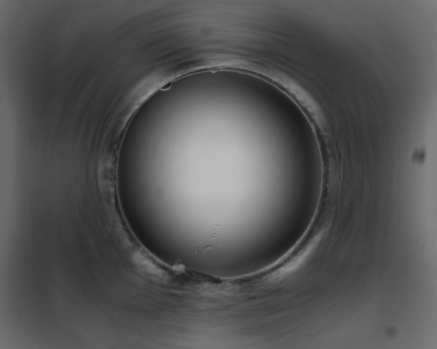 X0000102481001200808081301
