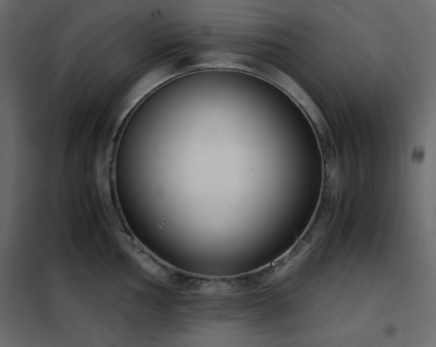 X0000102481002200808081301