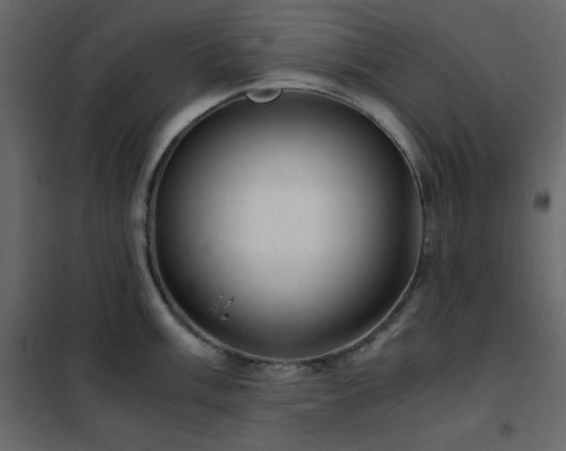 X0000102481003200808081300